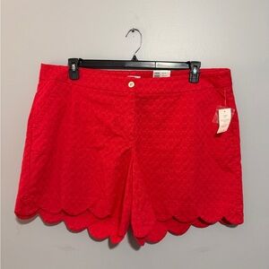 Crown & Ivy Shelby Shorts Size 22W